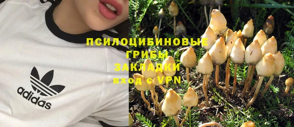 герыч Майский