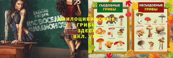герыч Майский