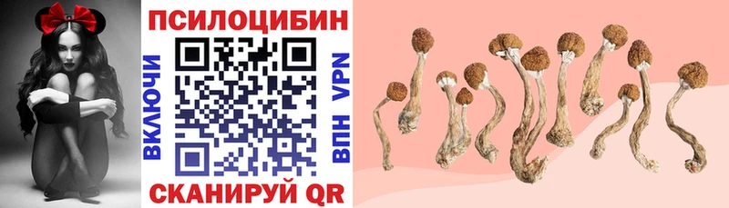 Псилоцибиновые грибы мухоморы  наркошоп  Хвалынск 